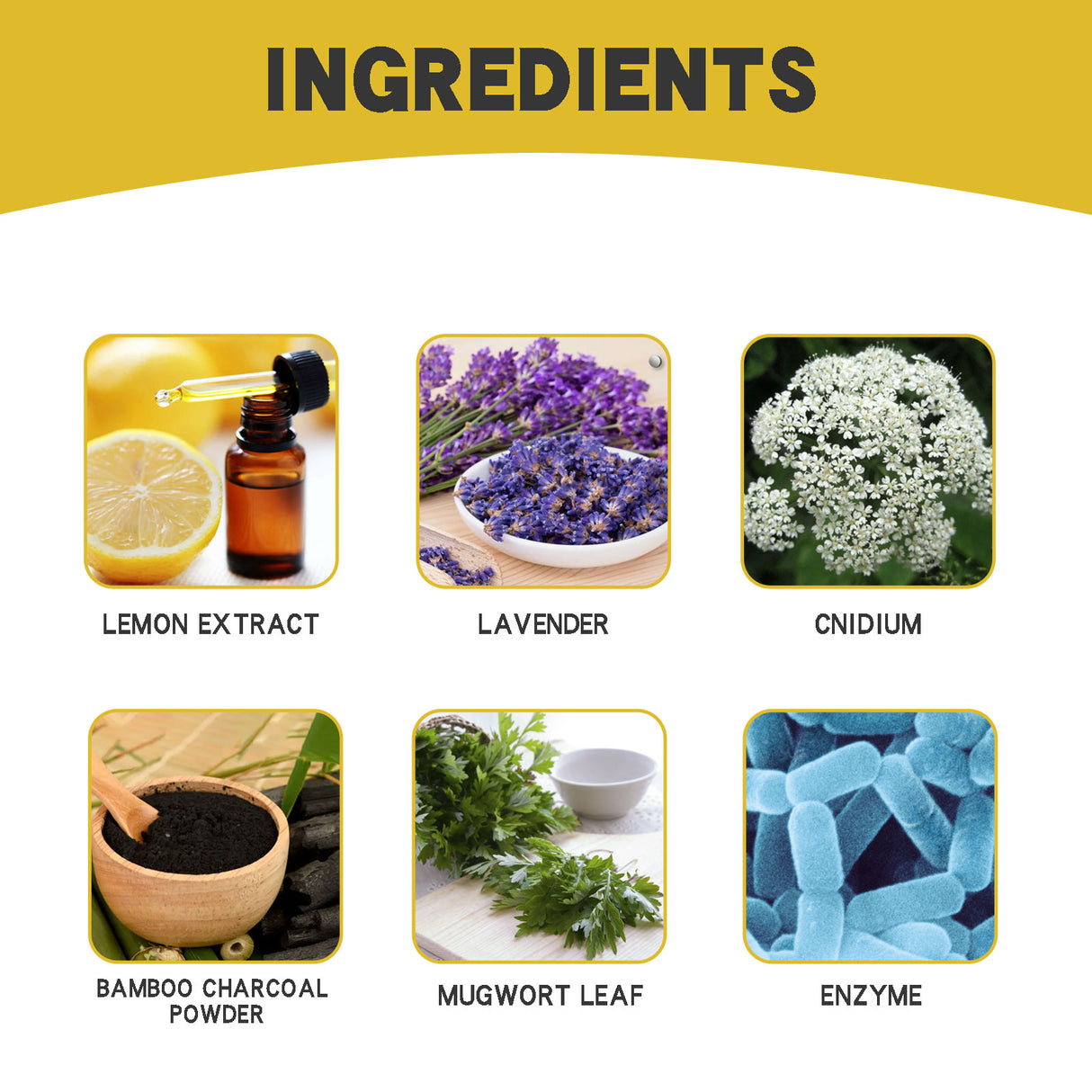 Stop Odor Shoe Deodorant Patch, Shoes Deodorant Fresh Clean Odor Absorbent Foot Sweat Insole - V.I.P Digital Presence