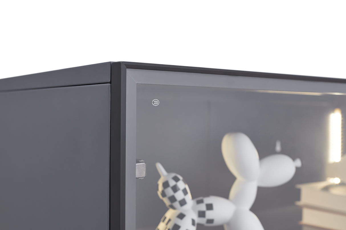 Single door display cabinet - V.I.P Digital Presence