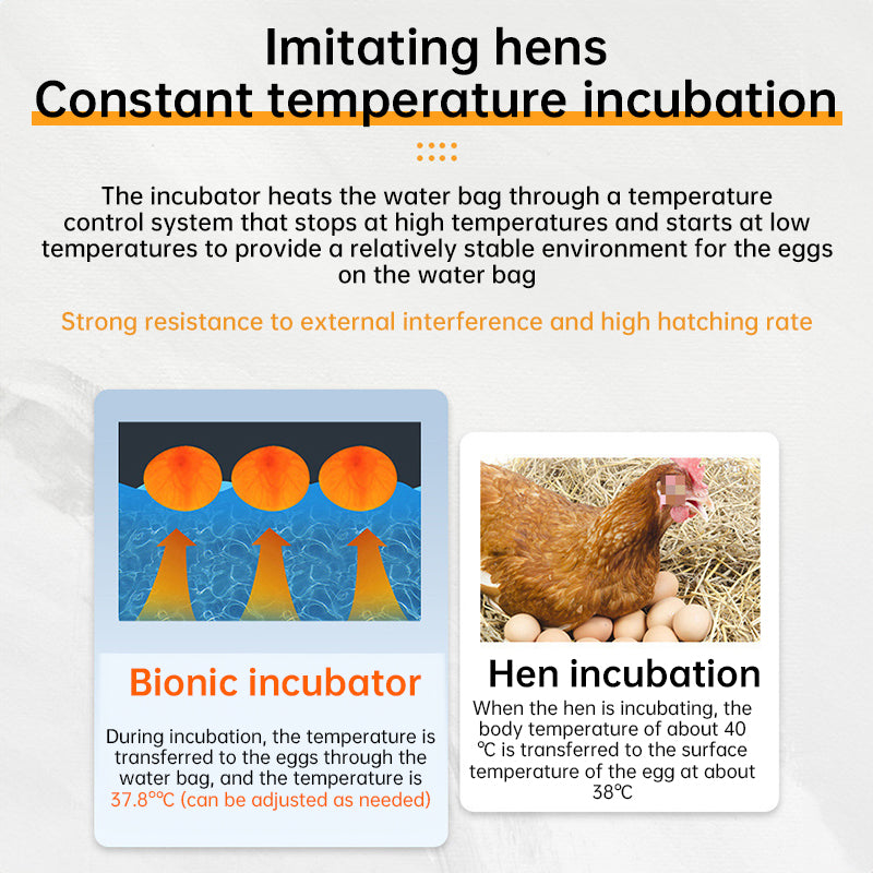 24 - hr Thermostatic Small Poultry Incubator. Biomimetic Waterbed. Auto & Smart. For Chick, Duck & Goose Eggs - V.I.P Digital Presence