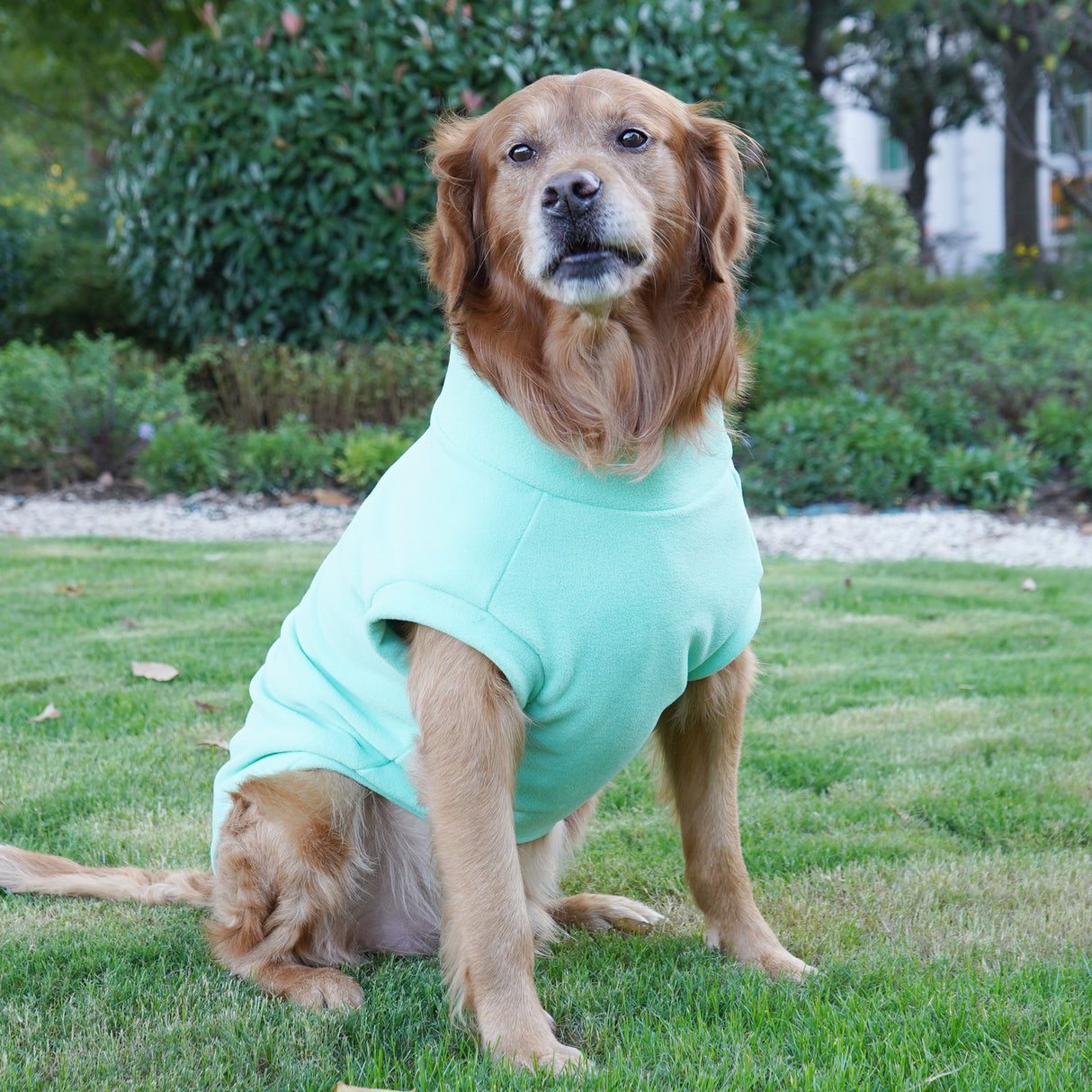 Pet Labrador Golden Retriever Dog Clothes Large Breed Winter Warm Pet Clothes European and American Cross-border Wholesale - V.I.P Digital Presence