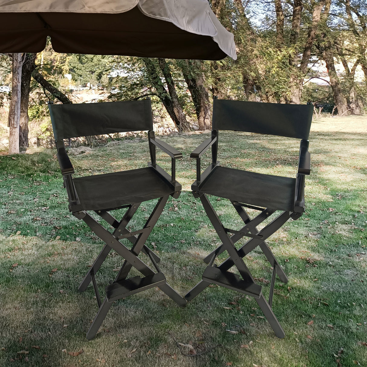 Casual Home Director's Chair, Black Frame/Black Canvas,Suitable for adults, foldable style, 2pcs/set populus - V.I.P Digital Presence