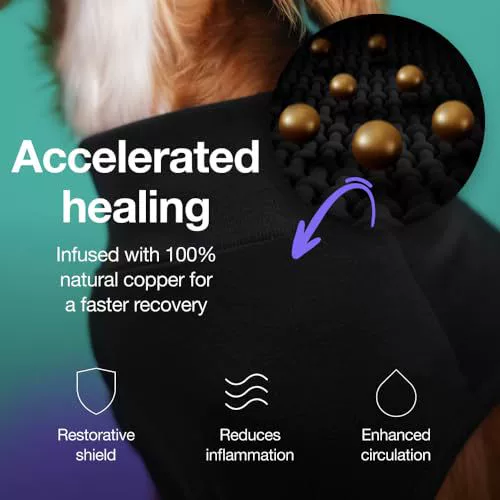 Pet sterilization suit wound anti licking suit suitable for all body types of dogs surgical recovery clothing set - V.I.P Digital Presence
