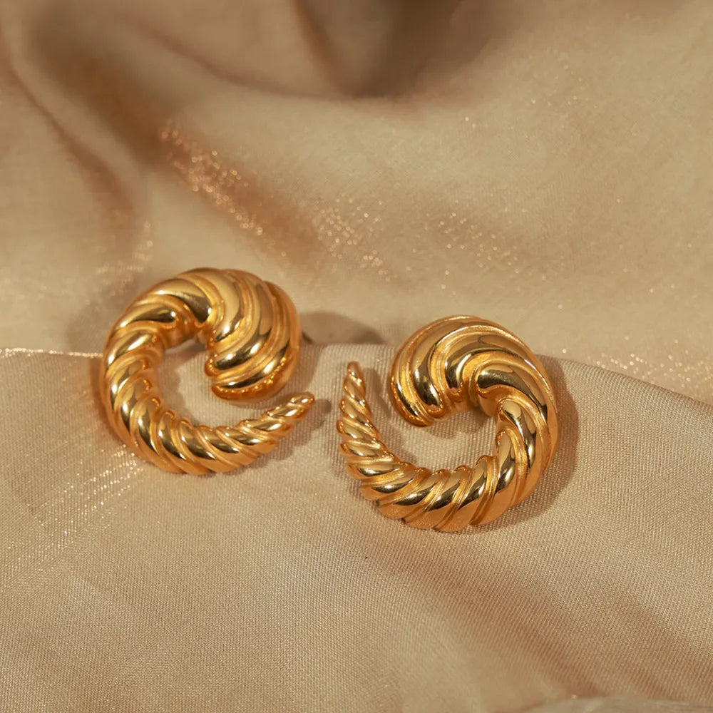 Titanium Steel Spiral Shape Stud Earrings - V.I.P Digital Presence