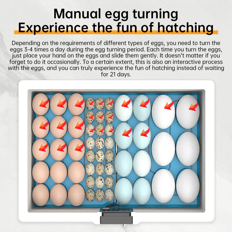 24 - hr Thermostatic Small Poultry Incubator. Biomimetic Waterbed. Auto & Smart. For Chick, Duck & Goose Eggs - V.I.P Digital Presence