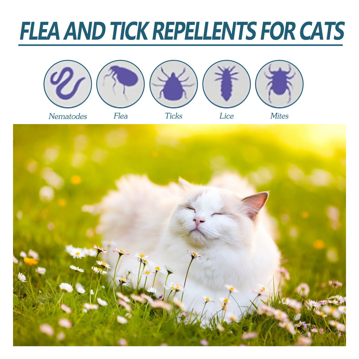 Pet Anti-Flea Tick Agent, External Deworming Skin Cleaning Tick Drops For Cats And Dogs - V.I.P Digital Presence