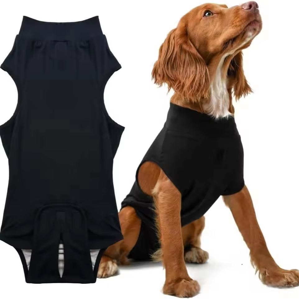 Pet sterilization suit wound anti licking suit suitable for all body types of dogs surgical recovery clothing set - V.I.P Digital Presence