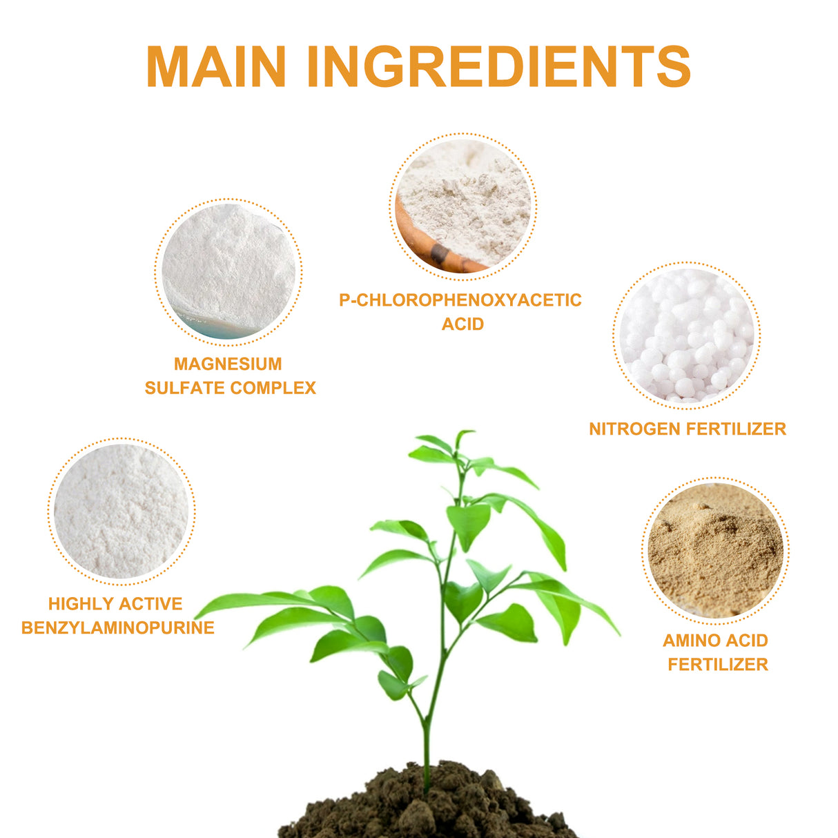 Premium 3-1-2 Liquid Fertilizer Concentrate For Citrus Trees, Orange Fruit Tree Plant Root Green Leaf Beauty Fruit Growth Nutrient Solution - V.I.P Digital Presence