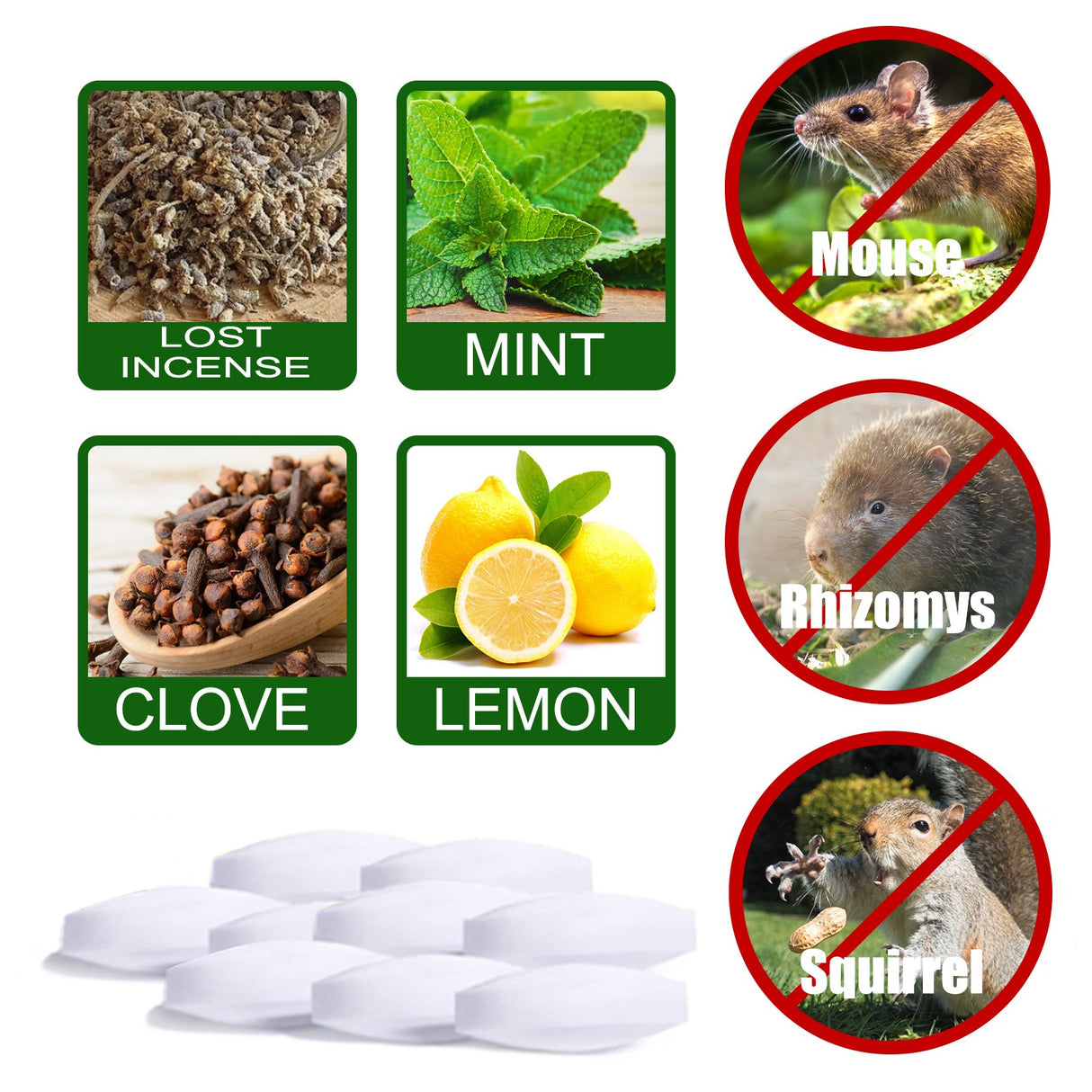 Mouse Repellent Mice Repellent for House Repel Mice Rats Rodent Control for Household Garden Yard Supplies - V.I.P Digital Presence