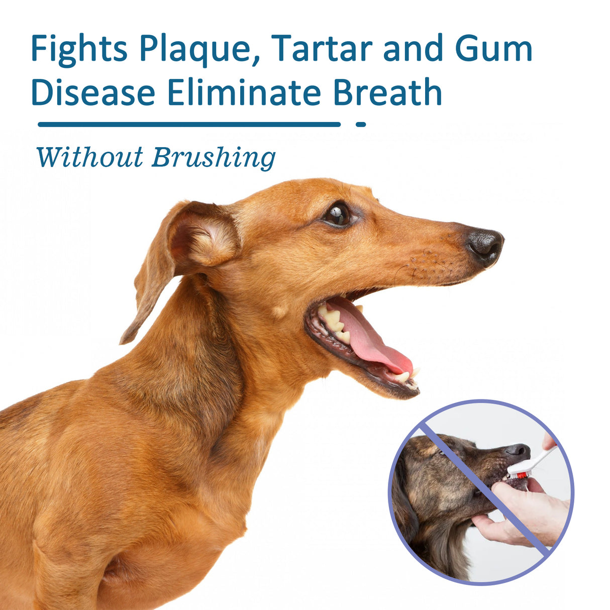 Pet Oral Cleaning Spray, Cats And Dogs Remove Tartar And Bad Breath Fresh Mouth Care Spray - V.I.P Digital Presence