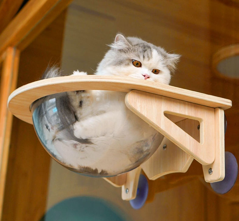 Solid wood spacecraft cat nest cat hammock hanging suction cup climbing frame balcony - V.I.P Digital Presence
