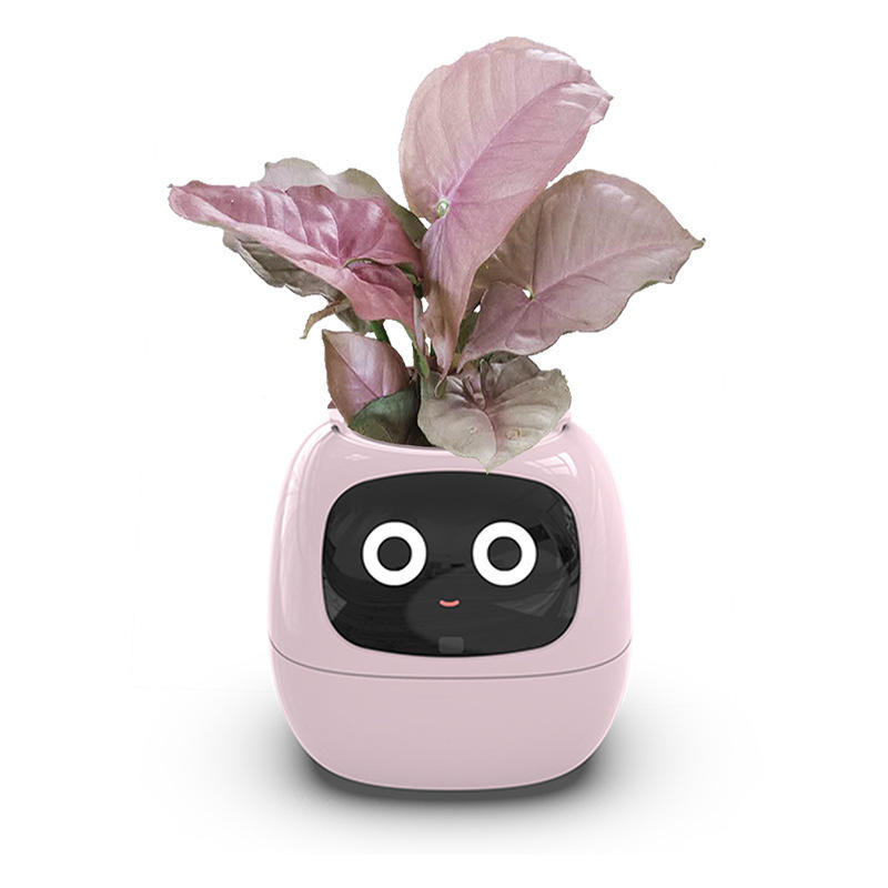 USB Auto Absorbent Planter Brand New PP Resin Plastic Round Eco-friendly Interactive - V.I.P Digital Presence