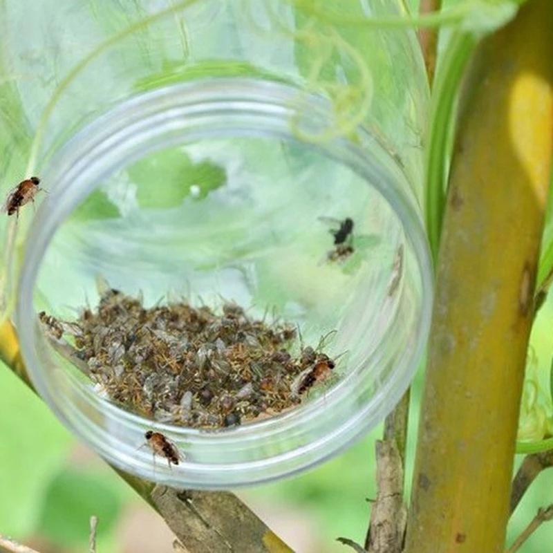 Fruit Fly Trap Killer Plastic Drosophila Trap Anti Fly Fruit Fly Killer Catcher Orchard Insect Trap Pest Control Products Drop - V.I.P Digital Presence