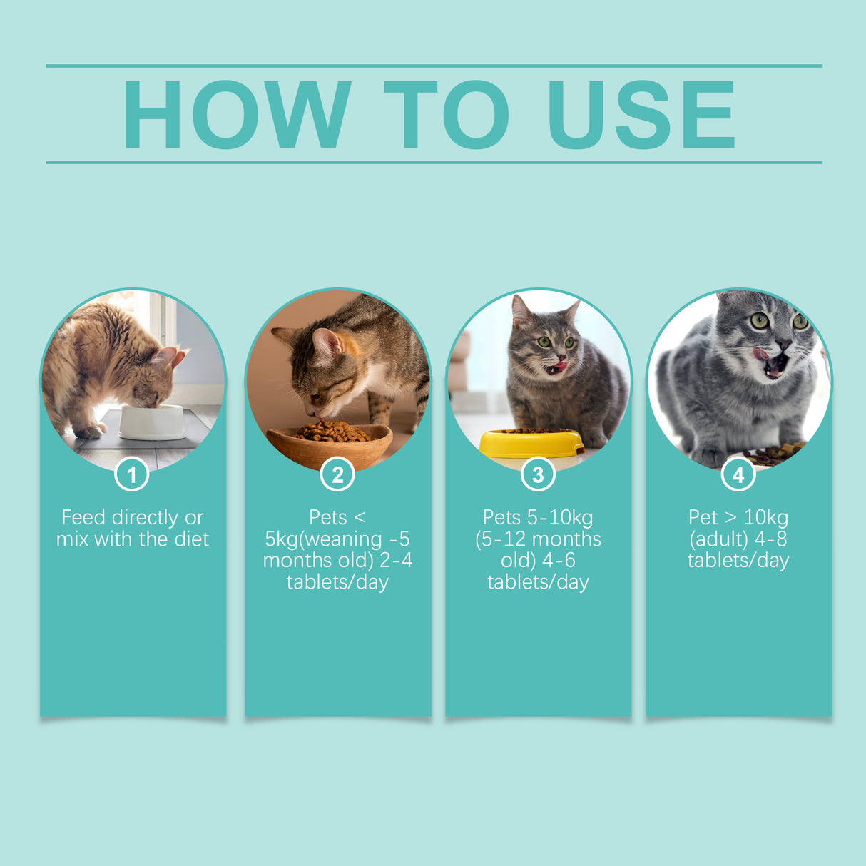 Cat Probiotic Tablets To Improve Intestinal Health, Balance Digestion And Absorption Of Pet Nutritional Supplements - V.I.P Digital Presence