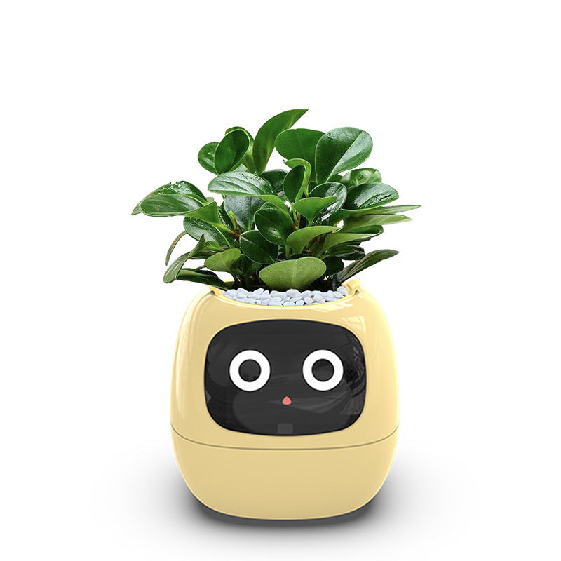 USB Auto Absorbent Planter Brand New PP Resin Plastic Round Eco-friendly Interactive - V.I.P Digital Presence