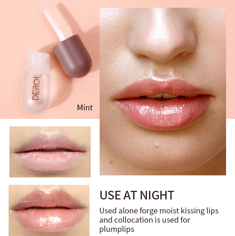 DEROL Ginger Mint Lip Plumper Cross-Border Increase Moisturizing Moisturizing Lip Set Box Lip Plumper - V.I.P Digital Presence