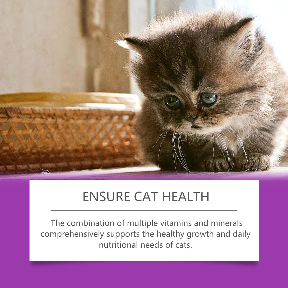 Pet Cat Vitamin Drops Care For Pets With Physical Discomfort Daily Care Vitamin Supplements - V.I.P Digital Presence