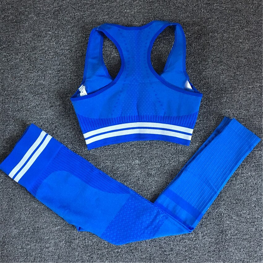 Seamless Yoga Set Sport Wear Women Gym Workout Fitness Clothing Female Sport Suit High Waist Legging Sports Bra Tracksuit - V.I.P Digital Presence