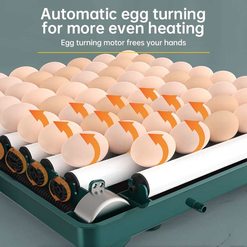 9 - 48 Egg Incubator: Automatic Egg - Turning & Humidity Monitoring. Duck Incubator with Auto - Water Ionic Waterbed - V.I.P Digital Presence