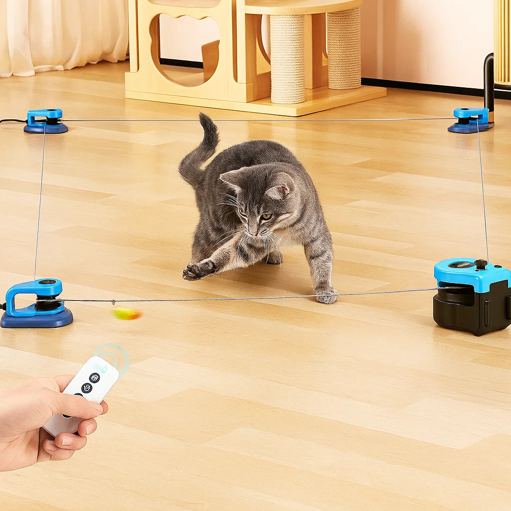 FeatherRun Cat Toy - V.I.P Digital Presence