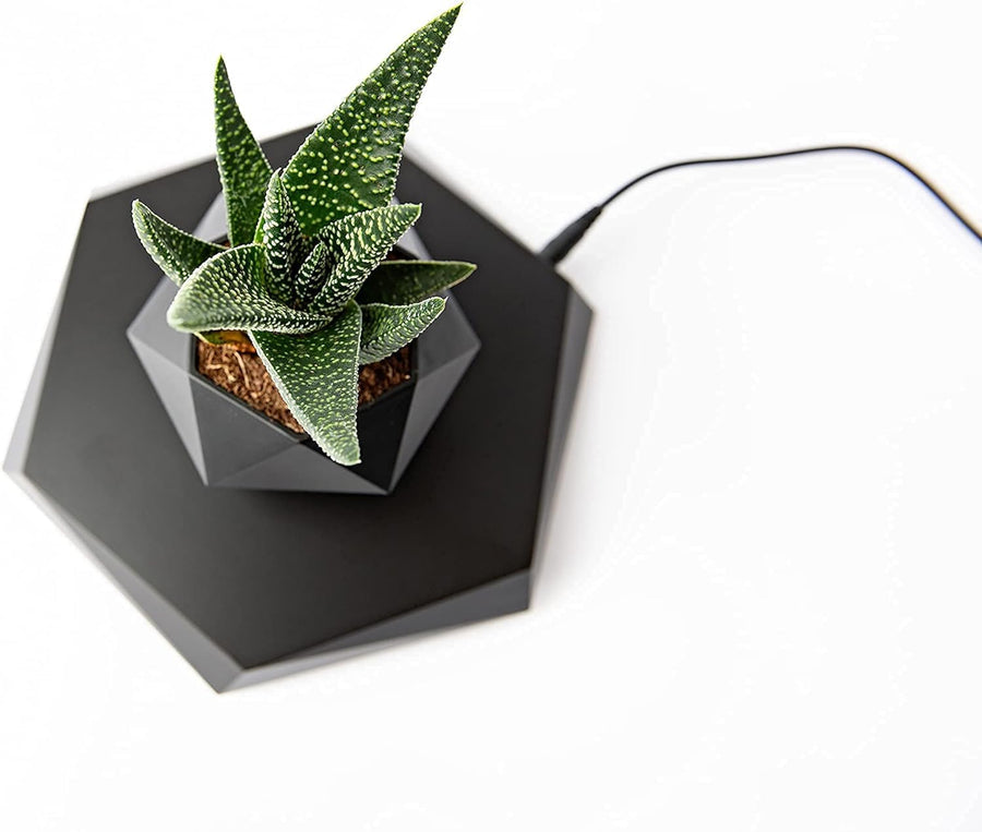 LevitaSphere Plant Pot - V.I.P Digital Presence