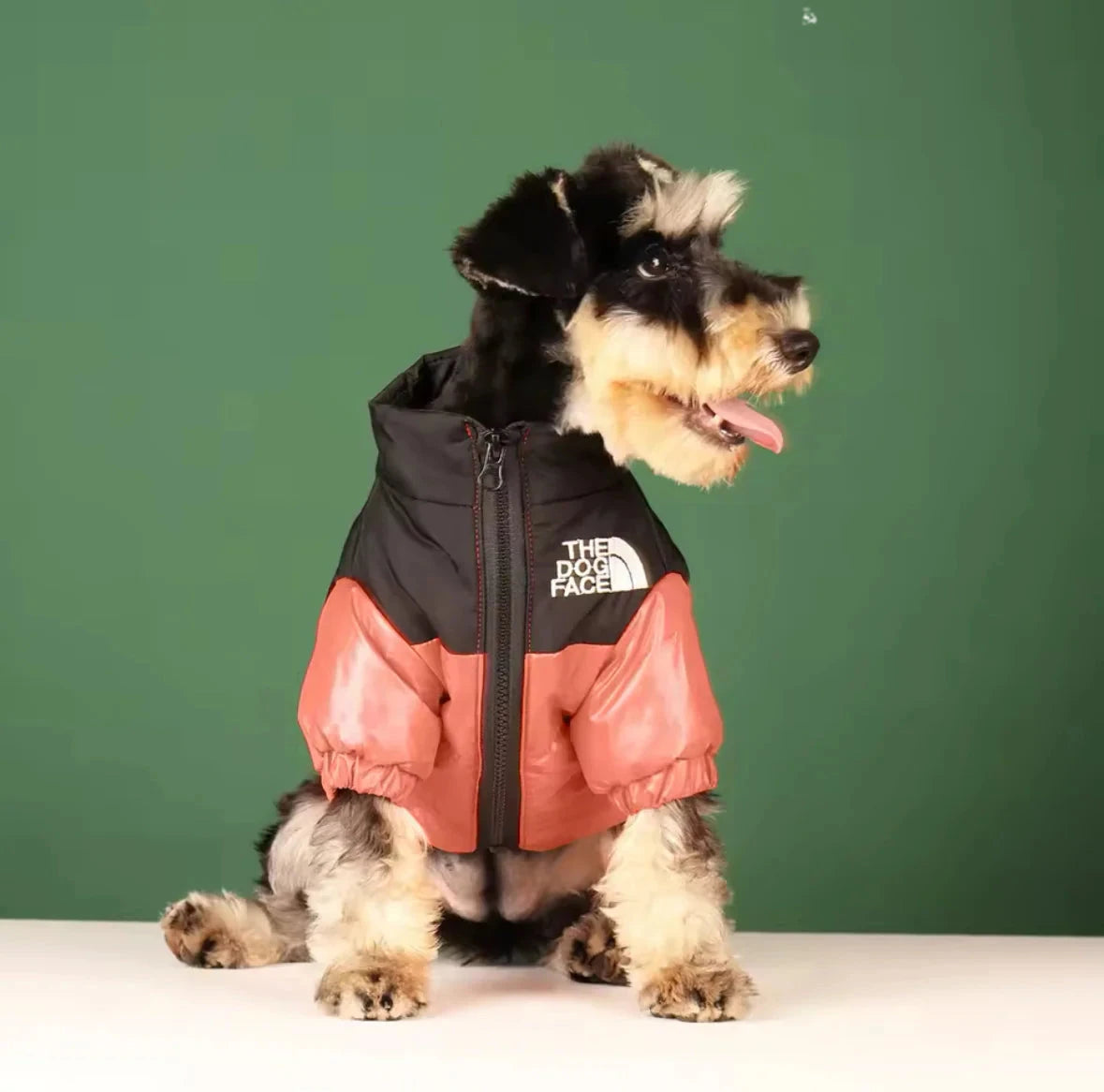 Puffer Dog Jacket - V.I.P Digital Presence