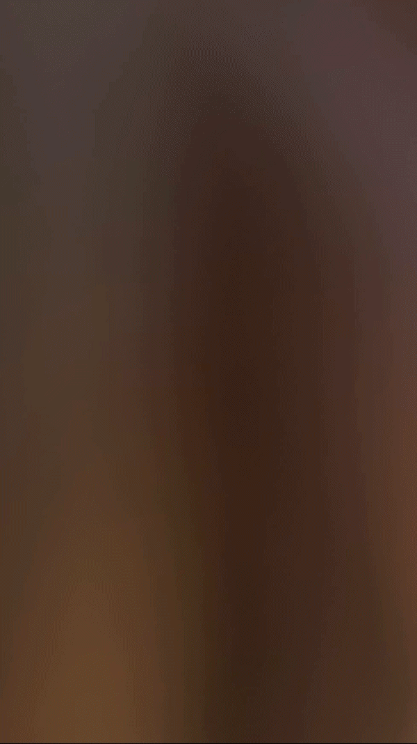 Puffer Dog Jacket - V.I.P Digital Presence