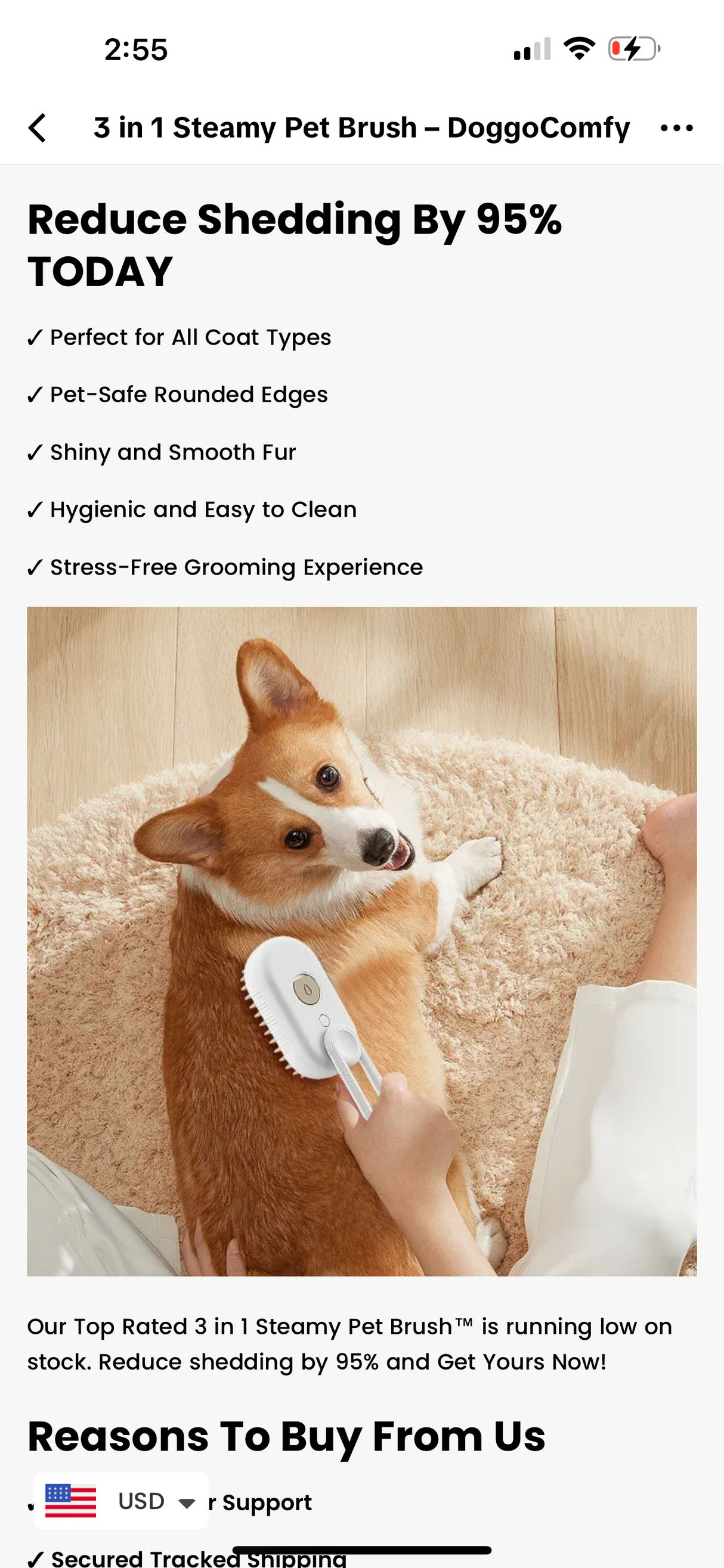 Steamy Hair Brush - V.I.P Digital Presence