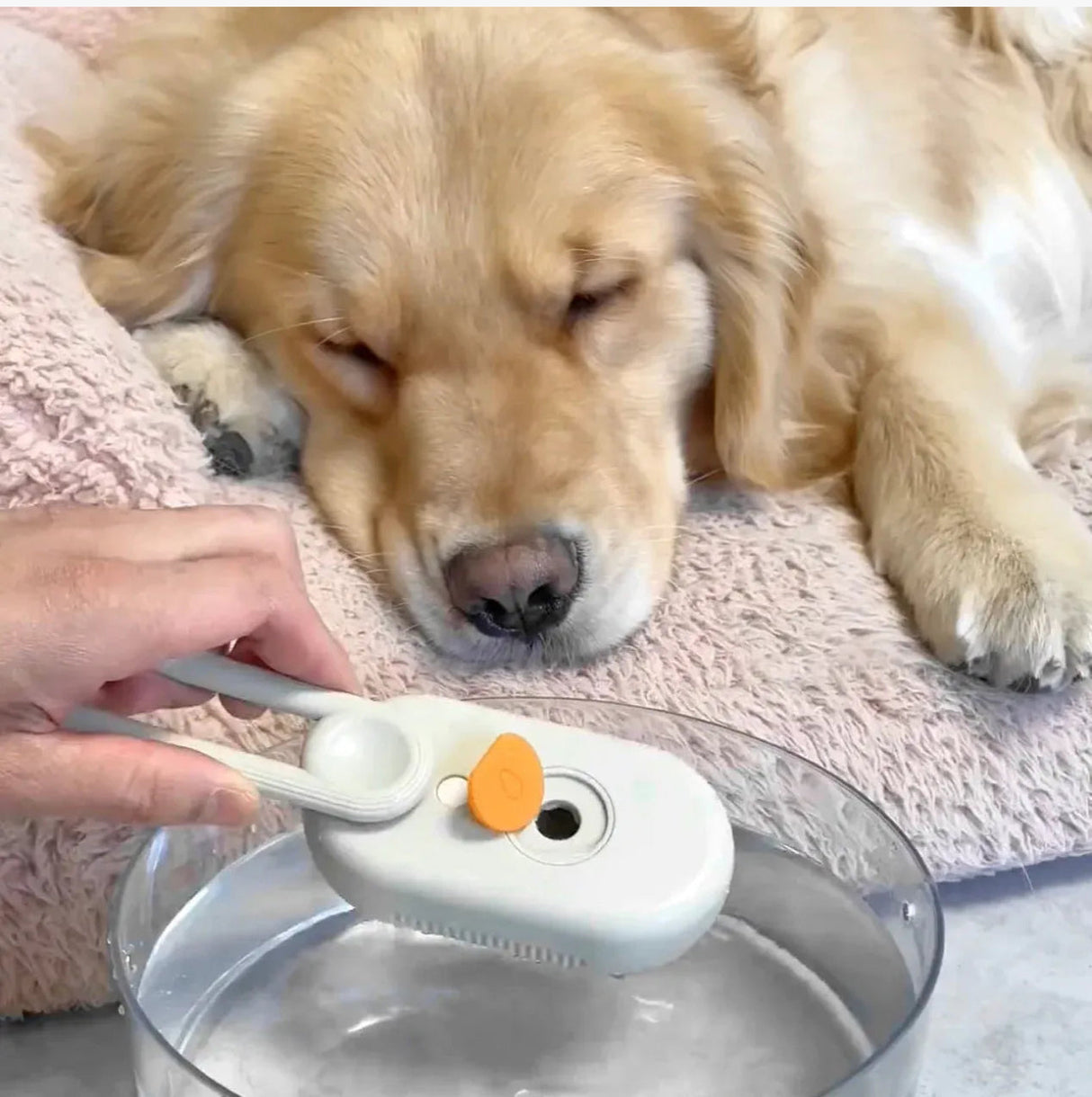 Steamy Hair Brush - V.I.P Digital Presence