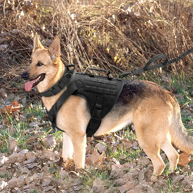 Tactics K9 Chest Harness Vest for Dogs - V.I.P Digital Presence