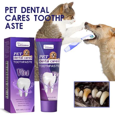 Pet V34 Toothpaste, Pet Clean Bad Breath Tartar Care Gum Care Toothpaste - V.I.P Digital Presence