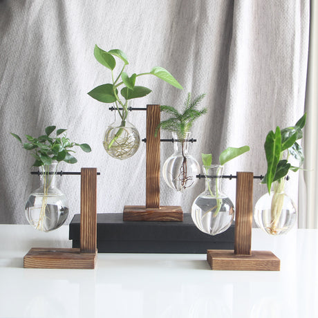 Transparent Bulb Vase with Wood Stand. For hydroponics. Great for coffee shops & room decor. - V.I.P Digital Presence