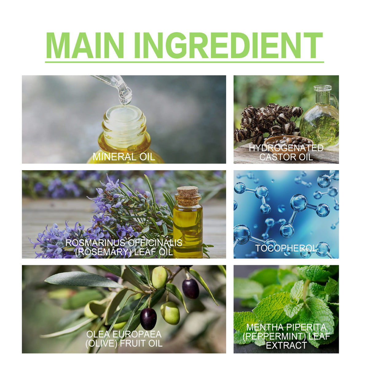 Rosemary Essential Oil For Hair Care, Anti-Frizz, Long Lasting, Soft Stay, Repair, Perm And Dye Hair Care - V.I.P Digital Presence