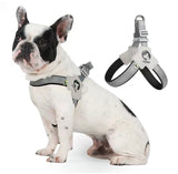 PawFit Dog Harness Leash