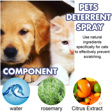 Pet Anti-Scratch Spray Exclusion Zone Set Up Spray Cat And Dog Scratching Door Sofa Anti-Scratch Solution - V.I.P Digital Presence