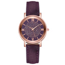 Luxury Watches Quartz  Watch Stainless Steel Dial Casual Bracele Watch - V.I.P Digital Presence