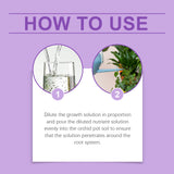 Orchid Plant Growth Agent Flower Green Plant Special Nutrient Solution For Orchid Pot Common - V.I.P Digital Presence