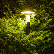 Solar Lawn Light With Dimmable LED - V.I.P Digital Presence