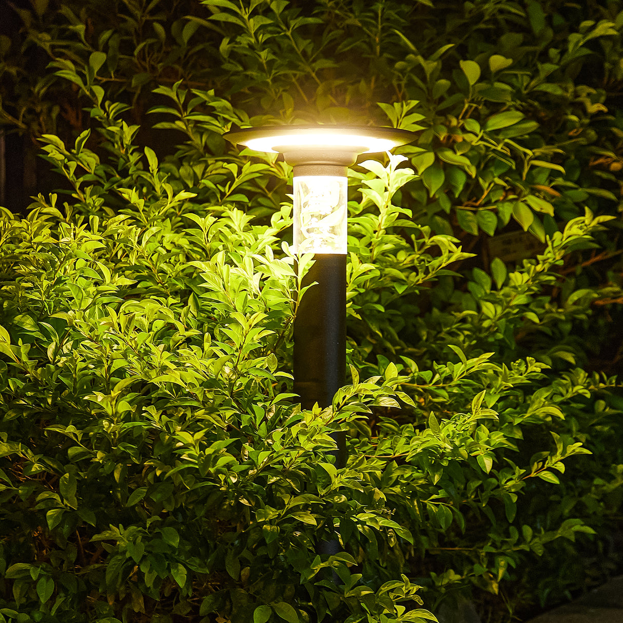 Solar Lawn Light With Dimmable LED - V.I.P Digital Presence