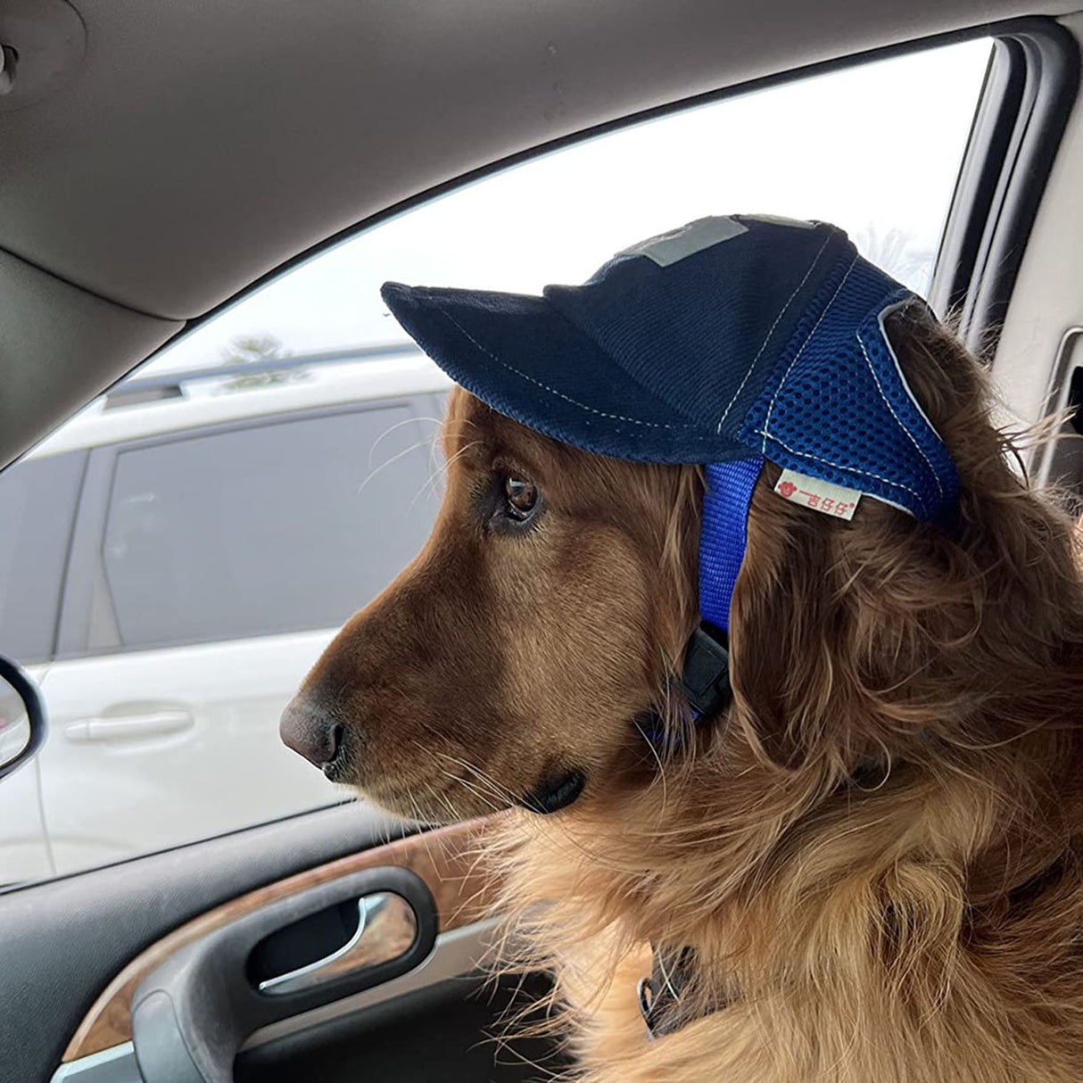 Sun Hat with G-Word Dog Design, Travel Sun Hat for Spring and Autumn, Outdoor Sun Protection with Mesh Ventilation, Pet Themed Baseball Cap - V.I.P Digital Presence