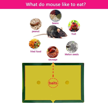 3-15pcs Mouse Board Sticky Mice Glue Trap High Effective Rodent Rat Bugs Catcher Pest Control Reject Non-toxic Eco-Friendly - V.I.P Digital Presence