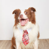 New British style handsome Christmas dog collar Christmas pet tie - V.I.P Digital Presence