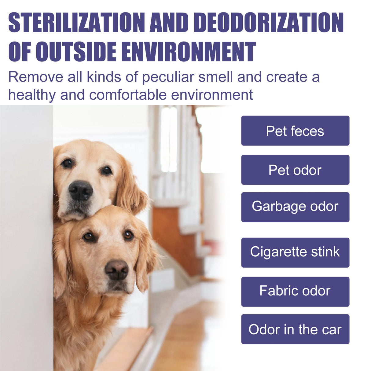 Pet Deodorant Spray for Cats and Dogs - Eliminates Odors, Urine Smell, Body Odor, and Feces Odor, Air Freshener Mist - V.I.P Digital Presence