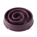 Slow Feeding Bowl for Dogs and Cats Anti-Slip and Anti-Choking Pet Feeder Pet Supplies - V.I.P Digital Presence