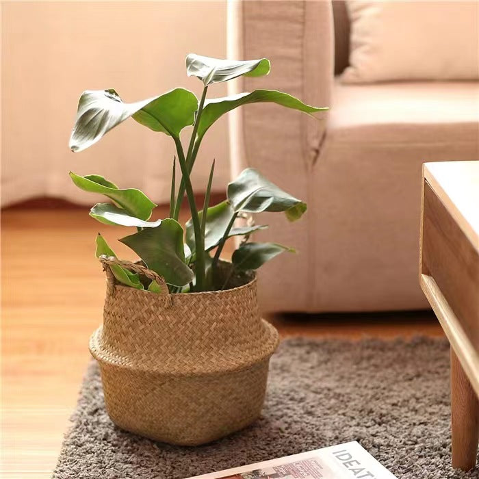 Scandinavian Style Wicker Handbasket Flower Pot Rattan Weave Plant Grass Woven Floor Folding Wicker Basket Weaving - V.I.P Digital Presence