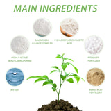 Plant Nutrient, Flower Pot Lawn Green Leaf Plant Fertilizer Root Growth Nutrient - V.I.P Digital Presence