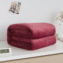 Thick blanket, solid color blanket, single-layer nap, coral fleece blanket, winter flannel blanket - V.I.P Digital Presence
