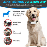 Touch Automatic Bark-stopping Device, Dog Trainer, Pet Products for Preventing Dogs From Barking - V.I.P Digital Presence