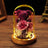 Valentine's Day Gift Everlasting Flower Bear Moss Glass Cover Finished Gift Box for Girlfriend Birthday Ornament Dried Flowers Roses - V.I.P Digital Presence