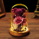 Valentine's Day Gift Everlasting Flower Bear Moss Glass Cover Finished Gift Box for Girlfriend Birthday Ornament Dried Flowers Roses - V.I.P Digital Presence