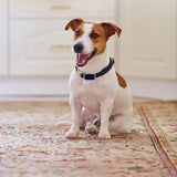 G12 Smart GPS pet tracker: Mini, waterproof, anti - loss collar for dogs & cats - V.I.P Digital Presence